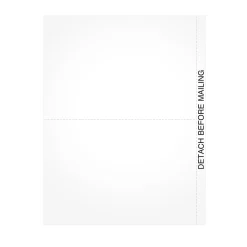 TOPS 2024 1099 Tax Form, 1-Part, 2-Up, 100 Forms/Pack (LBLANKQ)