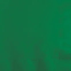 Touch of Color Beverage Napkin, 2-ply, Green, 150 Napkins/Pack (DTC139184154BNP)