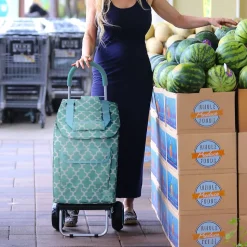 Trolley Dolly Standard Folding Hand Truck, 110 lb. Capacity, Moroccan Tile (01-581)