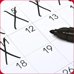 TRU RED™ Permanent Marker, Fine Tip, Assorted, 12/Pack (TR54530)