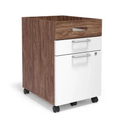 Union & Scale™ Essentials 2-Drawer Mobile Vertical File Cabinet, Letter/Legal, Lockable, 24.2"H x 15.5"W x 21"D, White/Espresso