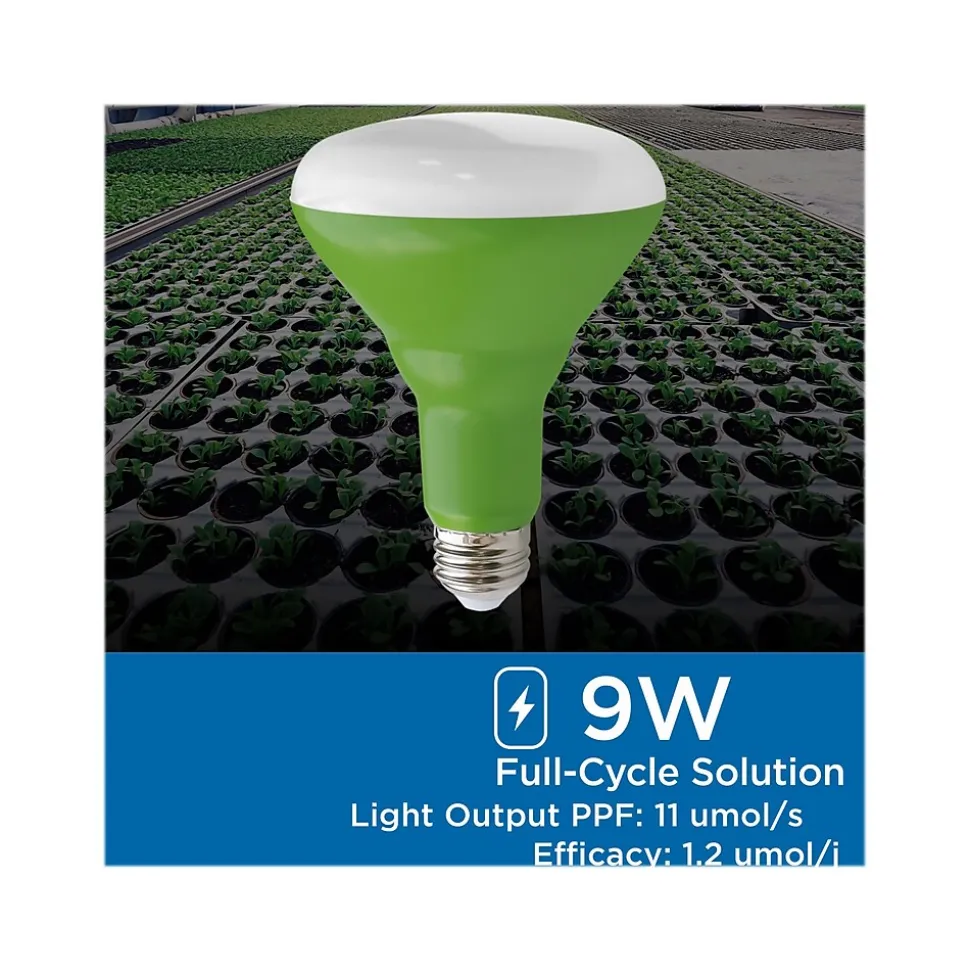 Viribright Virigrow 9-Watt Full-Spectrum LED Grow Light Bulb, 4/Box (290103-4)