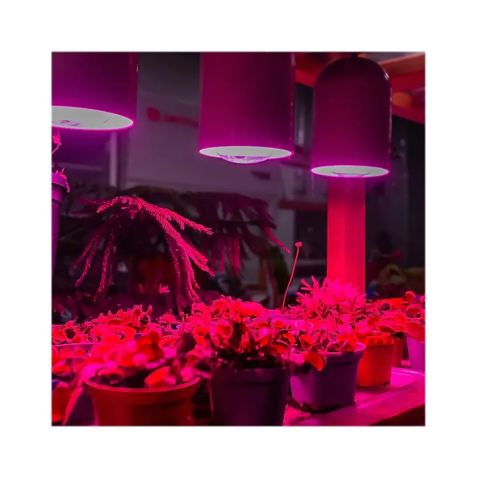 Viribright Virigrow 9-Watt Full-Spectrum LED Grow Light Bulb, 4/Box (290103-4)