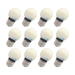 Viribright 2-Watt Daylight LED Bulb, Dozen (74566-12)