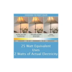 Viribright 2-Watt Daylight LED Bulb, Dozen (74566-12)