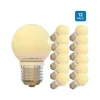 Viribright 3.2-Watt Soft White LED Globe Bulb, 12/Pack (74564)