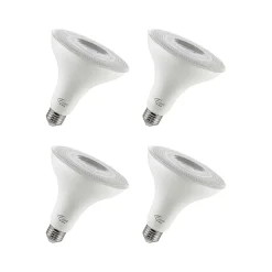 Viribright 12-Watt Soft White LED Floodlight Bulb, 4/Box (450159-ES)