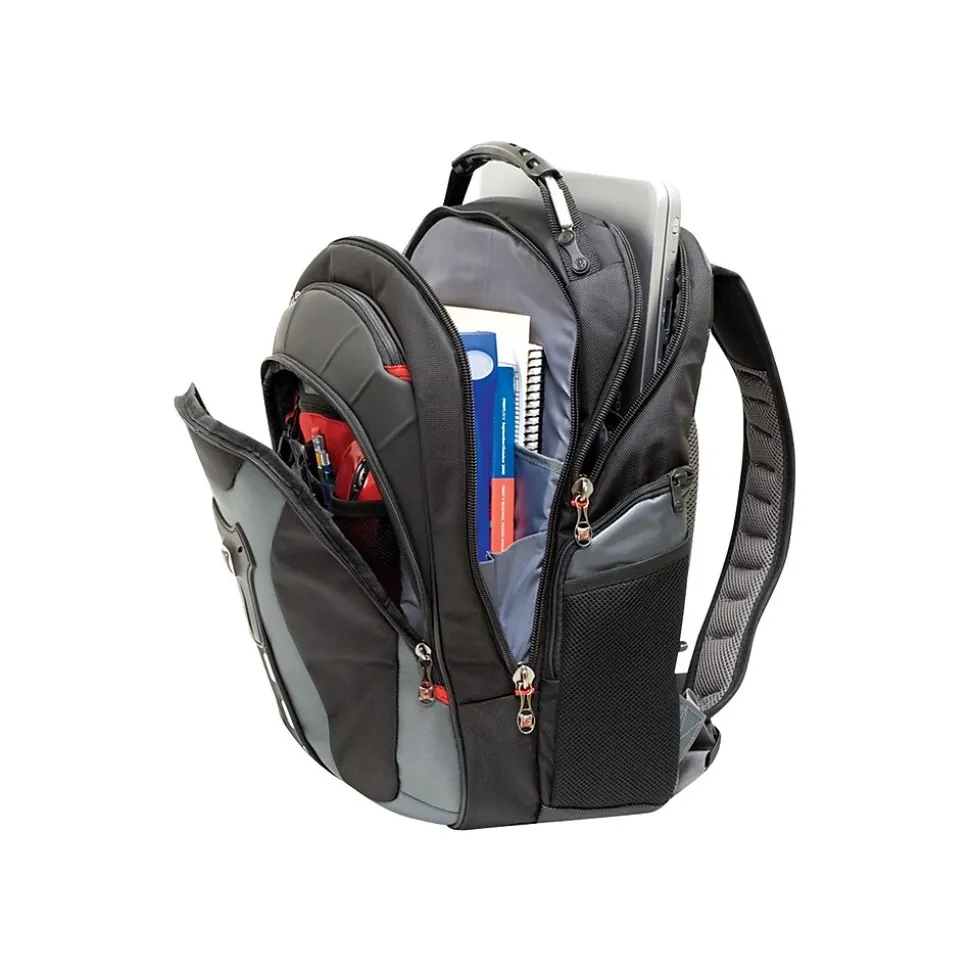 Wenger Pegasus Laptop Backpack, Black/Blue (GA-7306-06F00)