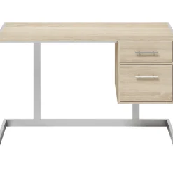 Whalen Peruzzi 48" Writing Desk, Greige Pecan (SPLS-PE48D)