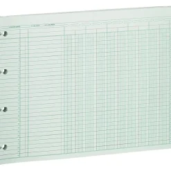 Wilson Jones Columnar Ruled Sheets, 10 Columns, 9.25" x 11.8", Green, 100 Sheets/Pack (WG10-10AA)