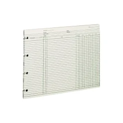 Wilson Jones Ledger Paper, Balance Ledger, 9 1/4" x 11 7/8", Green, 100 Sheets (WLJGN2D)