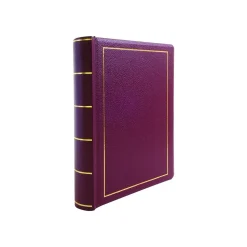 Wilson Jones Minute Record Book, 9.3"W x 11.6"H x 1.7"D, Red (W0396-11)