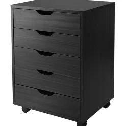Winsome Halifax 5-Drawer Storage Cabinet, Black (20519)