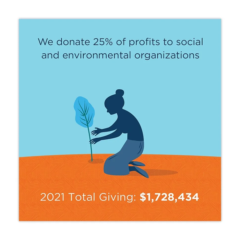 World Centric Sustainable Kraft Paper Straws, Wrapped, 8", Natural, 6,000/Carton