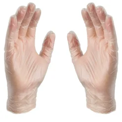 X3 Powder Free Vinyl Gloves, Latex Free, Clear, Large, 100/Box, 10 Boxes/Carton (GPX346100-CC)