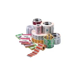 Zebra® 10001965 8000D Paper Thermal Transfer Label for Barcode Printers, Cont x 4"(W) x 74'(L)